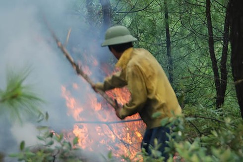 Cháy lớn rừng Hà Tĩnh
