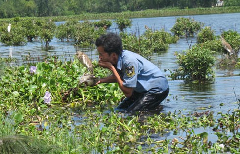 `Nghề` tàn sát chim trời `ăn vào máu`