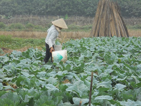 Từ 5 – 10% số người dân bị nhiễm 'amip ăn não người'