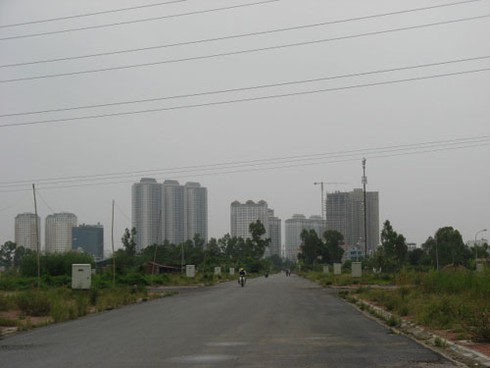 Khu tái định cư Kiến Hưng: Xây hạ tầng xong biến thành bãi chăn bò