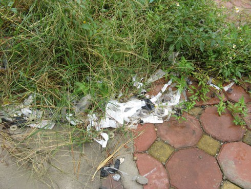 Khu tái định cư Kiến Hưng: Xây hạ tầng xong biến thành bãi chăn bò