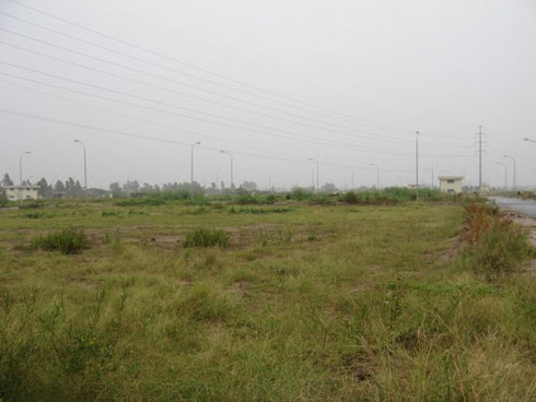 Khu tái định cư Kiến Hưng: Xây hạ tầng xong biến thành bãi chăn bò