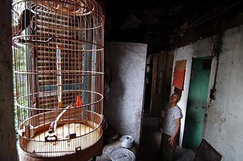 Ở khu 'tấc đất tấc vàng' cạnh Hồ Gươm, dân vẫn xin đi