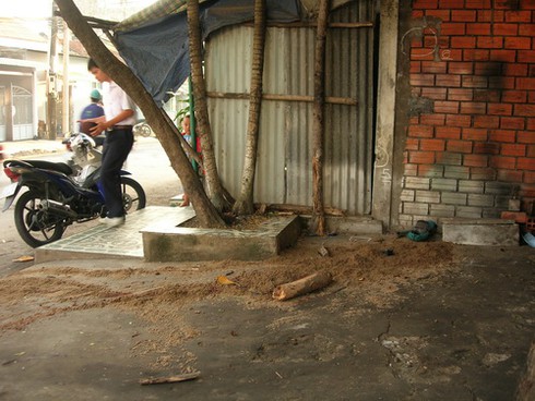 Chết thảm trên đường chạy trốn cảnh sát giao thông