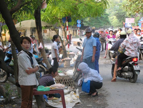 Bất chấp dịch cúm độc, vẫn bán, giết mổ gia cầm lưu động