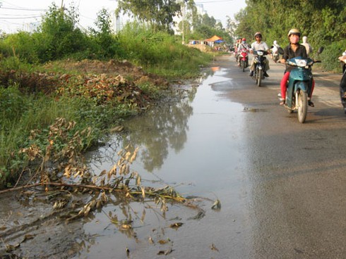 Bất chấp dịch cúm độc, vẫn bán, giết mổ gia cầm lưu động