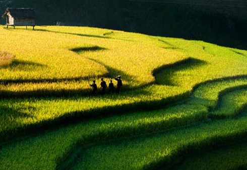 Hoãn tuần lễ văn hóa Mù Cang Chải để lo cứu hộ La Pán Tẩn