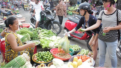 Chọn rau sạch kiểu may rủi