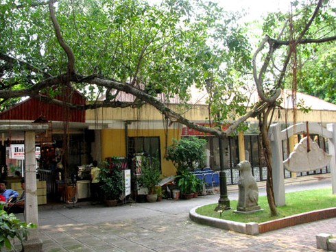 `Đừng nghĩ tới việc xây bảo tàng lịch sử quốc gia trong 5 năm tới`