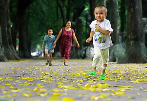 Hà Nội bắt đầu mùa lá rụng