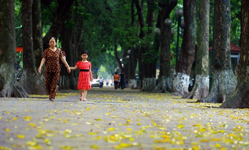 Hà Nội bắt đầu mùa lá rụng
