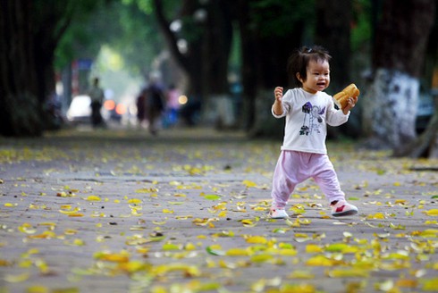 Hà Nội bắt đầu mùa lá rụng