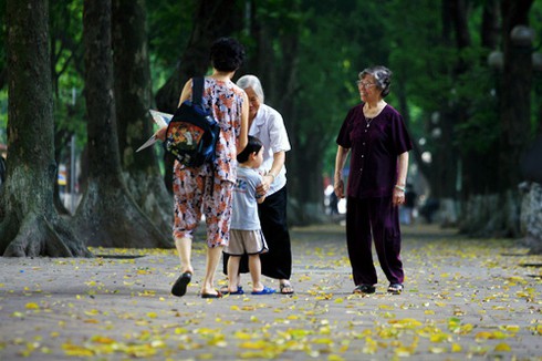 Hà Nội bắt đầu mùa lá rụng