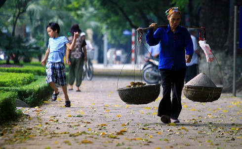 Hà Nội bắt đầu mùa lá rụng