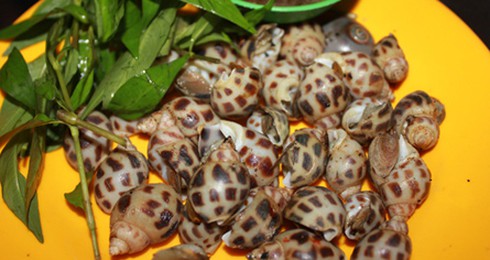 Quán ốc nướng gần chợ Tân Sơn Nhất