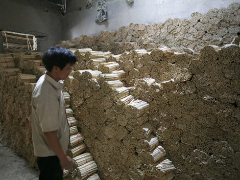 Một nửa số lợn trên thế giới được nuôi ở Trung Quốc - ảnh 1