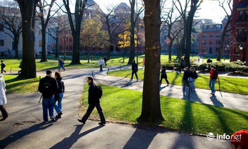 Đại học Harvard: Cấm giảng viên quan hệ tình dục với sinh viên - ảnh 1