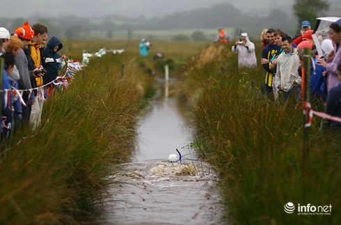Khám phá 10 lễ hội kỳ lạ nhất thế giới không thế bỏ qua - ảnh 7