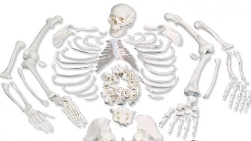 Cái chết và 6 sự thật thú vị - ảnh 2