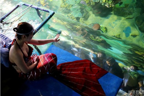 Cận cảnh một ngày của