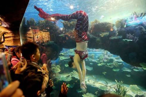 Cận cảnh một ngày của