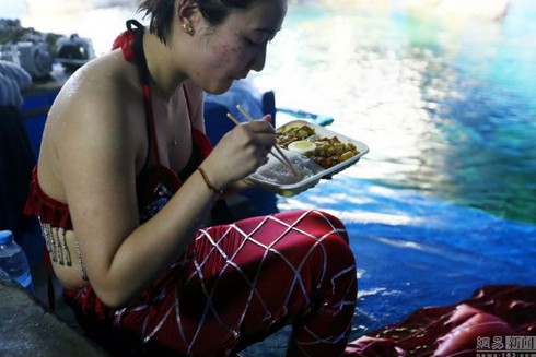 Cận cảnh một ngày của