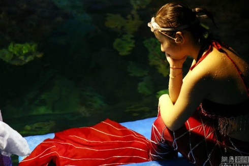 Cận cảnh một ngày của