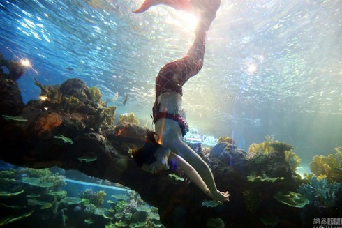 Cận cảnh một ngày của