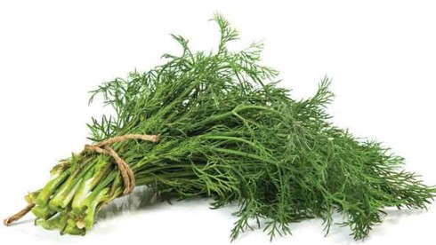 Mẹo trị hôi nách, hôi chân, hôi miệng thật dễ dàng - ảnh 4