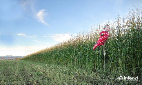 Xúc động với bộ ảnh