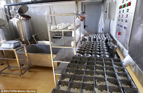 Loại pho mát đắt nhất hành tinh - ảnh 3