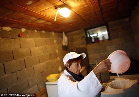 Loại pho mát đắt nhất hành tinh - ảnh 4