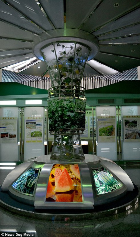 Bảo tàng dành riêng cho dưa hấu có một không hai trên thế giới - ảnh 9