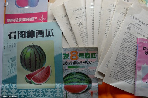Bảo tàng dành riêng cho dưa hấu có một không hai trên thế giới - ảnh 11