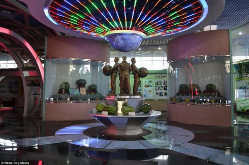 Bảo tàng dành riêng cho dưa hấu có một không hai trên thế giới - ảnh 3