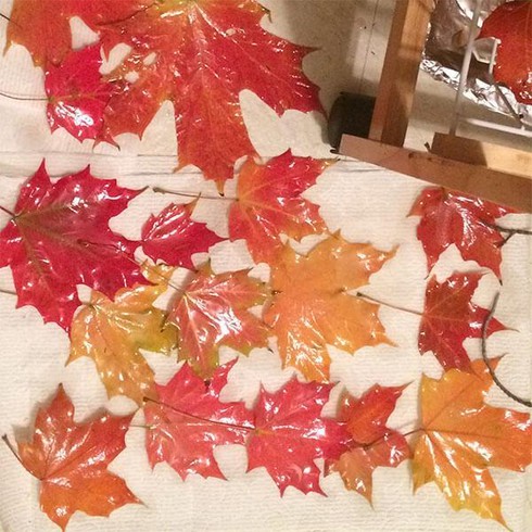 Bán lá cây, tuyết... kiếm hàng ngàn đô! - ảnh 2