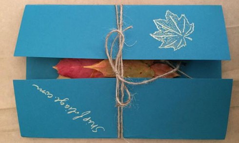 Bán lá cây, tuyết... kiếm hàng ngàn đô! - ảnh 3