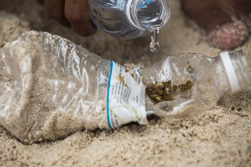 Cuộc sống thiên đường của bộ tộc