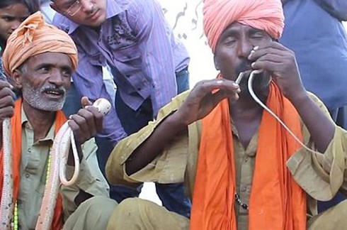 Người đàn ông 12 năm nhét rắn độc vào mũi - ảnh 1