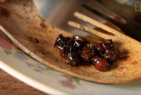 Bí mật tương ớt làm từ kiến