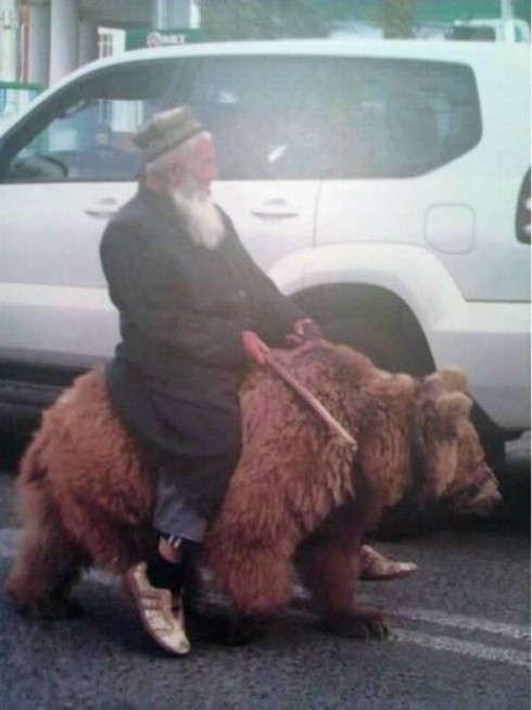 Cưỡi gấu, hà mã, sư tử... có cảm giác thế nào? - ảnh 2