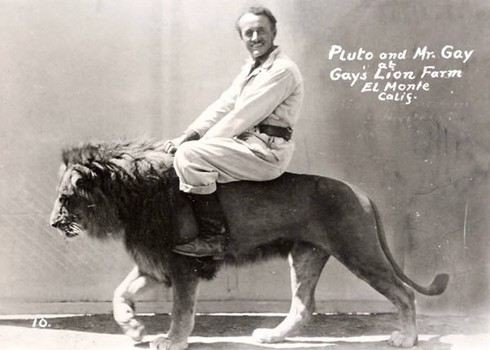 Cưỡi gấu, hà mã, sư tử... có cảm giác thế nào? - ảnh 6