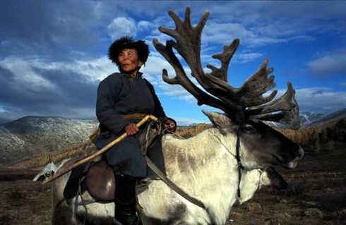 Cưỡi gấu, hà mã, sư tử... có cảm giác thế nào? - ảnh 7