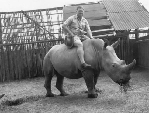 Cưỡi gấu, hà mã, sư tử... có cảm giác thế nào? - ảnh 8