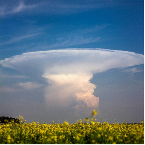 Mây hình nấm khổng lồ bất ngờ xuất hiện ở Siberia - ảnh 3