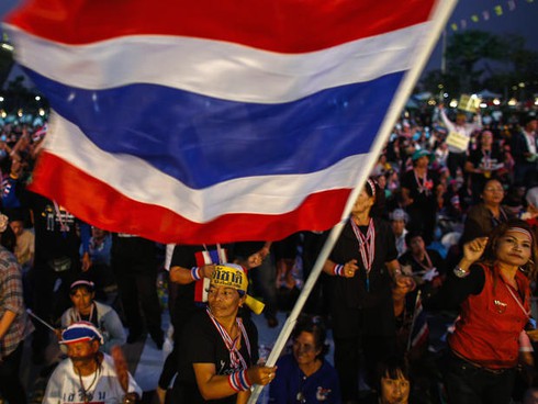 Cá chọi màu cờ Thái Lan được bán giá nghìn đô - ảnh 2