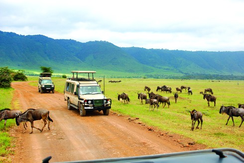 Thiên đường núi lửa Ngorongoro ở Tanzania - ảnh 1