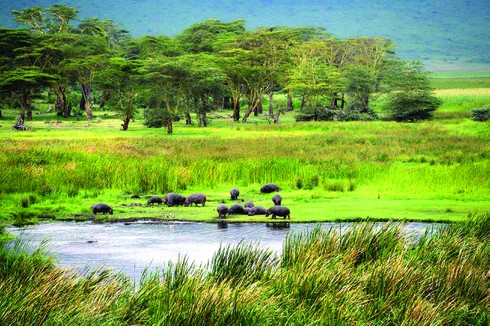 Thiên đường núi lửa Ngorongoro ở Tanzania - ảnh 2