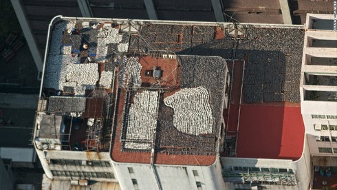 Sốc: hàng ngàn miếng vi cá mập được phơi trên nóc nhà ở Hồng Kông - ảnh 1