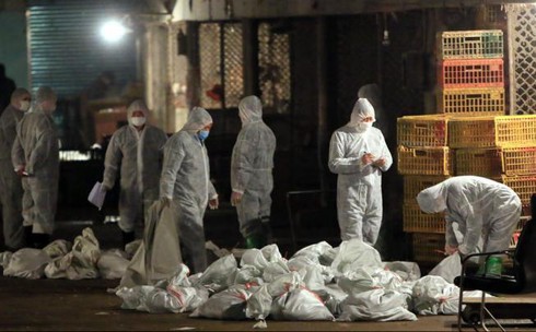 Trung Quốc: Bệnh nhân thứ 7 tử vong vì nhiễm virus H7N9 - ảnh 1